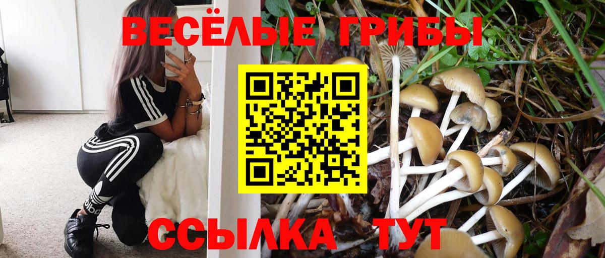 Кимовск  Галлюциногенные грибы Magic Shrooms  Вход с VPN 